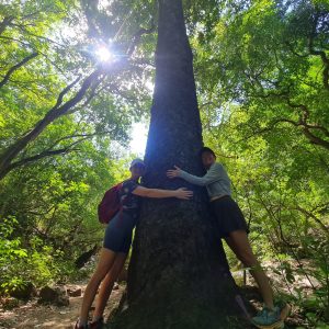 Cerro del Agujerado Nuevo León