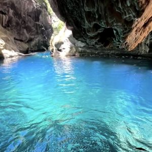 Chipitín en Nuevo León
