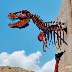 Tour a Cuatro Ciénegas Coahuila