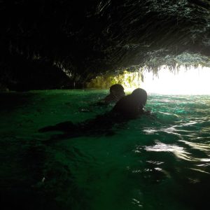 Matacanes
