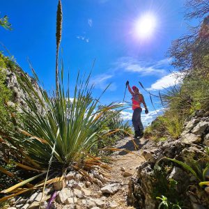 Pico Horcones