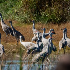 Reserva Natural Baños de San Ignacio