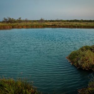 Reserva Natural Baños de San Ignacio