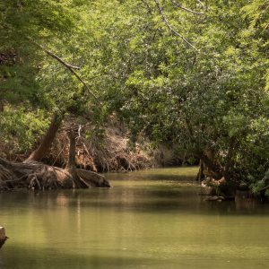 Reserva Natural Baños de San Ignacio