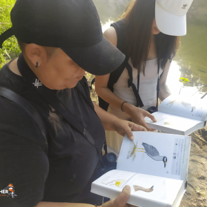 Río La Silla Kingfisher 05