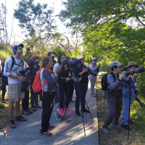 Río La Silla Kingfisher 06