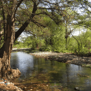 Río La Silla Kingfisher 09