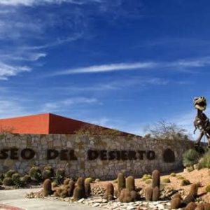 Tour a Saltillo Coahuila