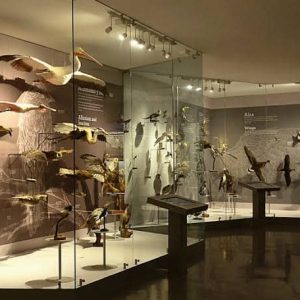 Tour a Saltillo Coahuila