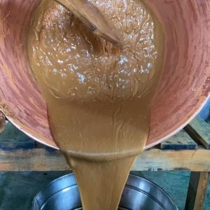 Tour Región Citrícola