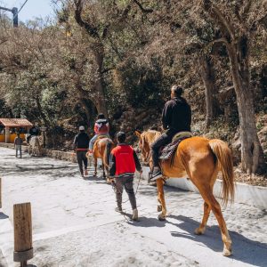 Transporte a Cola de Caballo