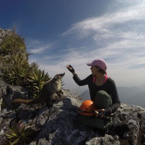 Pico Norte